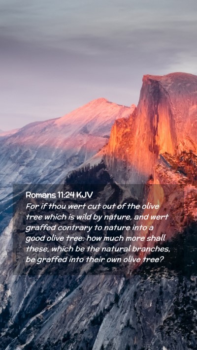 Picture 02 - Romans 11:24 KJV Mobile Phone Wallpaper - For if thou wert cut out of the olive tree which - Mobile Bible Verse Wallpaper