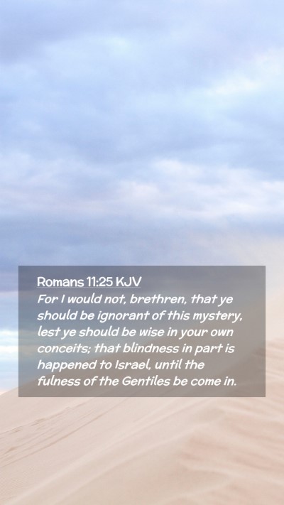 Picture 02 - Romans 11:25 KJV Mobile Phone Wallpaper - For I would not, brethren, that ye should be - Mobile Bible Verse Wallpaper