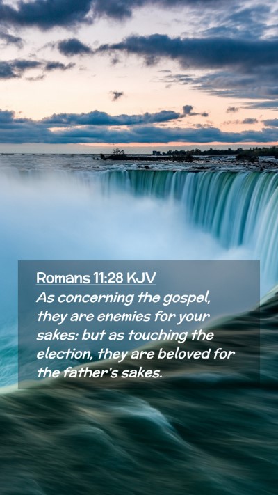 Picture 02 - Romans 11:28 KJV Mobile Phone Wallpaper - As concerning the gospel, they are enemies for - Mobile Bible Verse Wallpaper