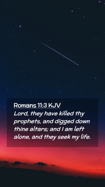 Picture 02 - Romans 11:3 KJV Mobile Phone Wallpaper - Lord, they have killed thy prophets, and digged - Mobile Bible Verse Wallpaper