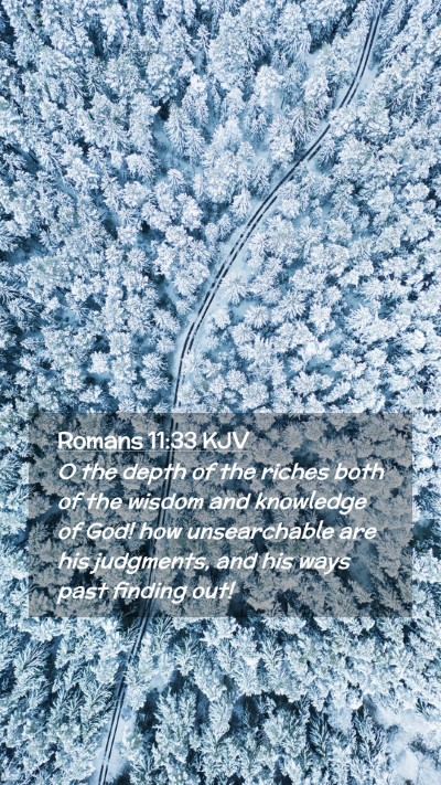 Picture 02 - Romans 11:33 KJV Mobile Phone Wallpaper - O the depth of the riches both of the wisdom and - Mobile Bible Verse Wallpaper