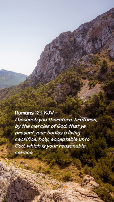Picture 02 - Romans 12:1 KJV Mobile Phone Wallpaper - I beseech you therefore, brethren, by the mercies - Mobile Bible Verse Wallpaper