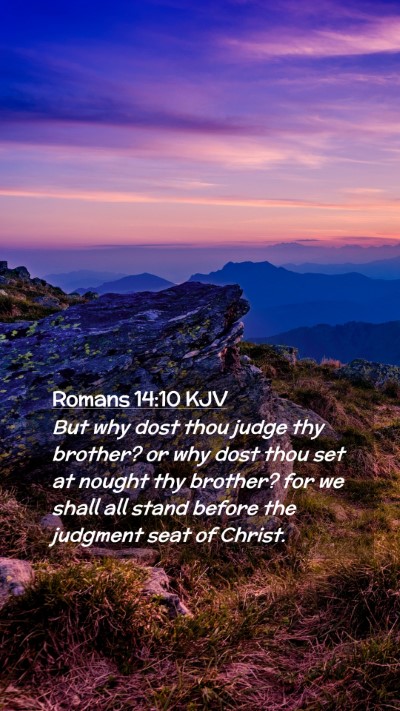 Picture 02 - Romans 14:10 KJV Mobile Phone Wallpaper - But why dost thou judge thy brother? or why dost - Mobile Bible Verse Wallpaper
