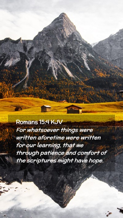 Picture 02 - Romans 15:4 KJV Mobile Phone Wallpaper - For whatsoever things were written aforetime were - Mobile Bible Verse Wallpaper