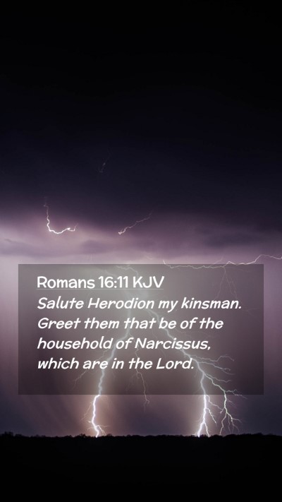 Picture 02 - Romans 16:11 KJV Mobile Phone Wallpaper - Salute Herodion my kinsman. Greet them that be of - Mobile Bible Verse Wallpaper
