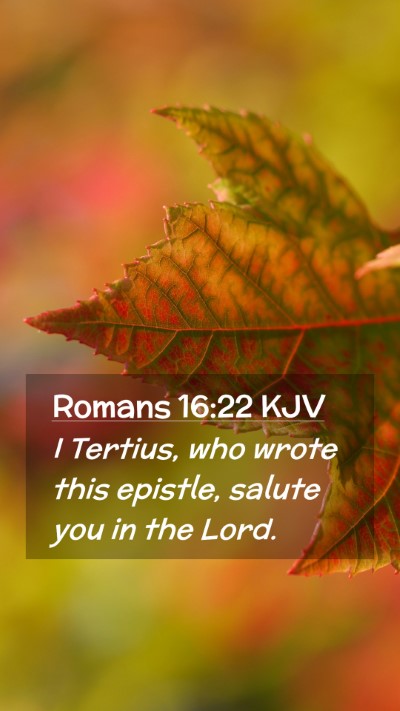Picture 02 - Romans 16:22 KJV Mobile Phone Wallpaper - I Tertius, who wrote this epistle, salute you in - Mobile Bible Verse Wallpaper