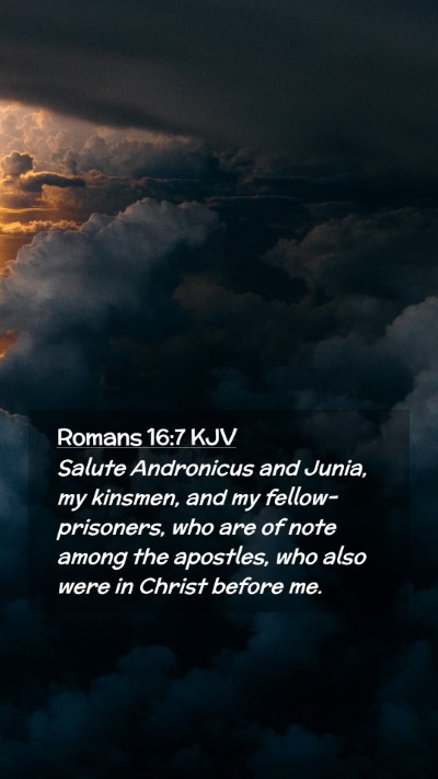 Picture 02 - Romans 16:7 KJV Mobile Phone Wallpaper - Salute Andronicus and Junia, my kinsmen, and my - Mobile Bible Verse Wallpaper