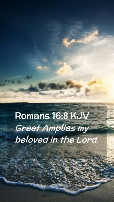 Picture 02 - Romans 16:8 KJV Mobile Phone Wallpaper - Greet Amplias my beloved in the - Mobile Bible Verse Wallpaper