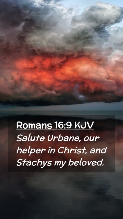 Picture 02 - Romans 16:9 KJV Mobile Phone Wallpaper - Salute Urbane, our helper in Christ, and Stachys - Mobile Bible Verse Wallpaper