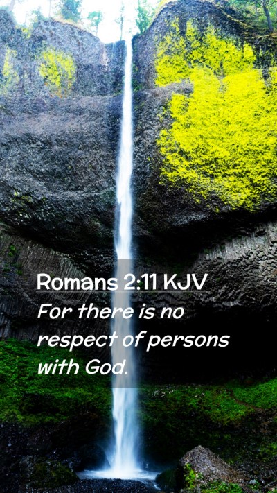 Picture 02 - Romans 2:11 KJV Mobile Phone Wallpaper - For there is no respect of persons with - Mobile Bible Verse Wallpaper