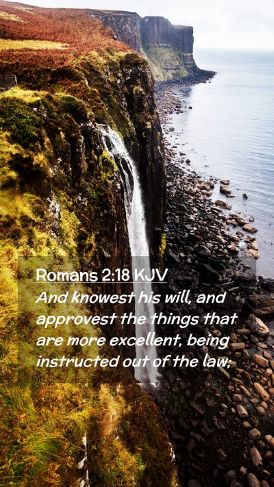 Picture 02 - Romans 2:18 KJV Mobile Phone Wallpaper - And knowest his will, and approvest the things - Mobile Bible Verse Wallpaper