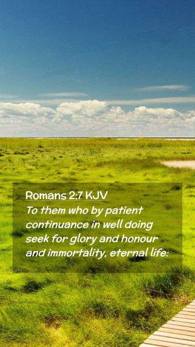 Picture 02 - Romans 2:7 KJV Mobile Phone Wallpaper - To them who by patient continuance in well doing - Mobile Bible Verse Wallpaper