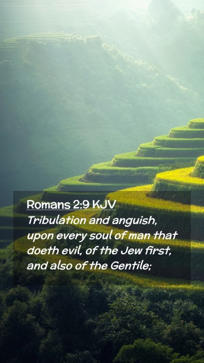 Picture 02 - Romans 2:9 KJV Mobile Phone Wallpaper - Tribulation and anguish, upon every soul of man - Mobile Bible Verse Wallpaper