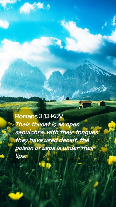 Picture 02 - Romans 3:13 KJV Mobile Phone Wallpaper - Their throat is an open sepulchre; with their - Mobile Bible Verse Wallpaper