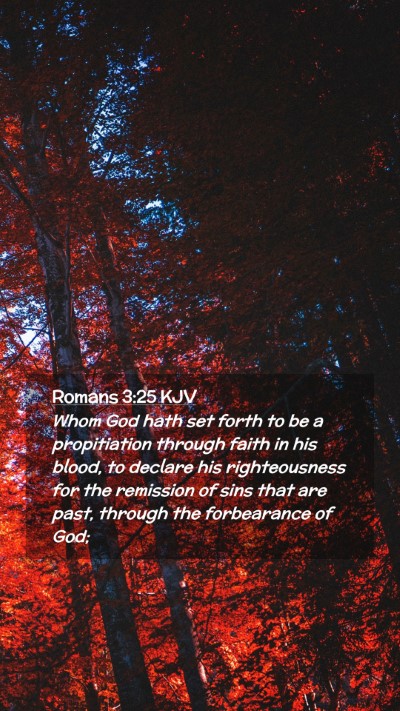 Picture 02 - Romans 3:25 KJV Mobile Phone Wallpaper - Whom God hath set forth to be a propitiation - Mobile Bible Verse Wallpaper