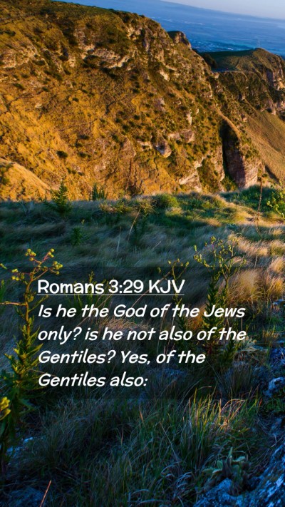 Picture 02 - Romans 3:29 KJV Mobile Phone Wallpaper - Is he the God of the Jews only? is he not also of - Mobile Bible Verse Wallpaper