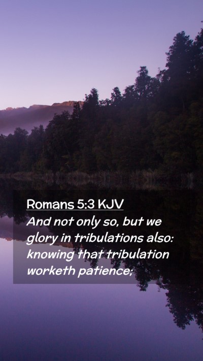 Picture 02 - Romans 5:3 KJV Mobile Phone Wallpaper - And not only so, but we glory in tribulations - Mobile Bible Verse Wallpaper
