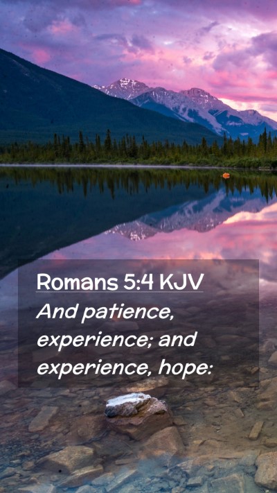 Picture 02 - Romans 5:4 KJV Mobile Phone Wallpaper - And patience, experience; and experience, - Mobile Bible Verse Wallpaper