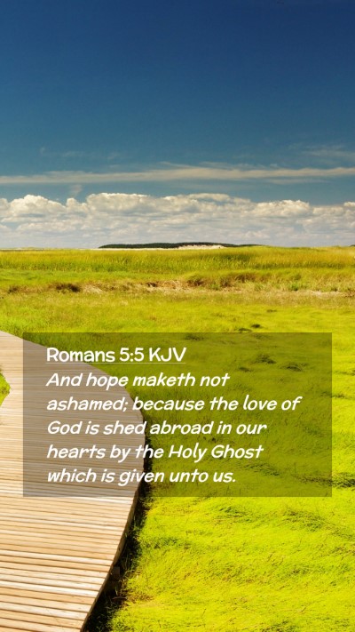 Picture 02 - Romans 5:5 KJV Mobile Phone Wallpaper - And hope maketh not ashamed; because the love of - Mobile Bible Verse Wallpaper
