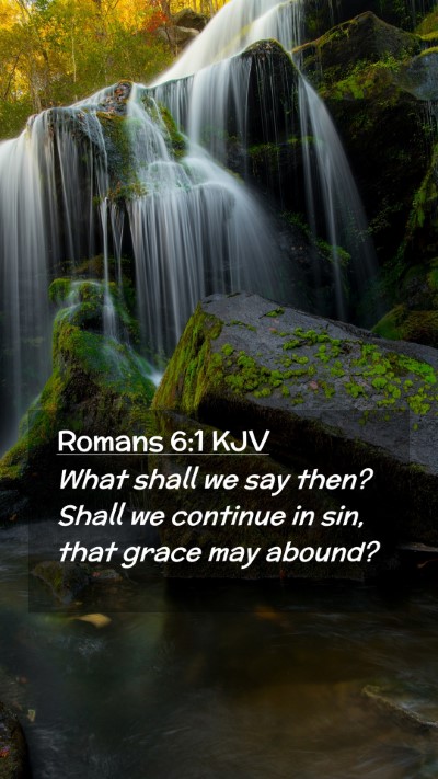Picture 02 - Romans 6:1 KJV Mobile Phone Wallpaper - What shall we say then? Shall we continue in sin, - Mobile Bible Verse Wallpaper