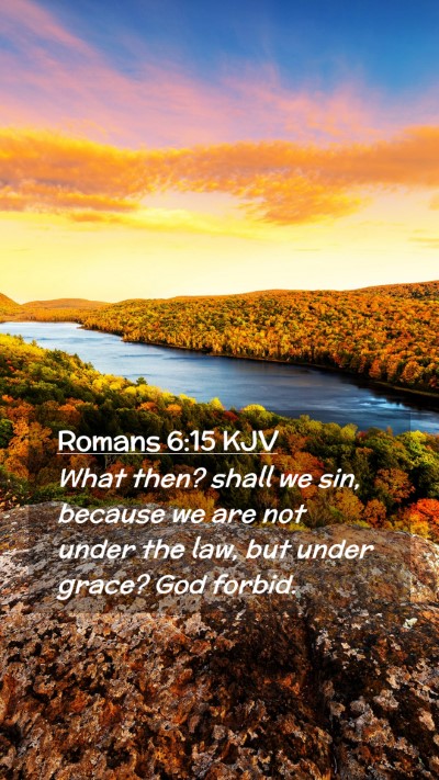 Picture 02 - Romans 6:15 KJV Mobile Phone Wallpaper - What then? shall we sin, because we are not under - Mobile Bible Verse Wallpaper