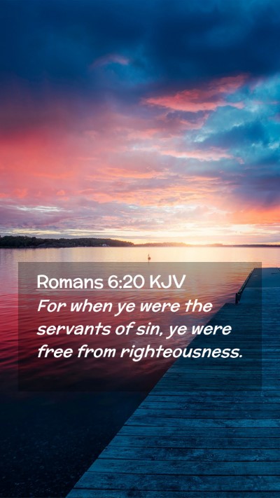 Picture 02 - Romans 6:20 KJV Mobile Phone Wallpaper - For when ye were the servants of sin, ye were - Mobile Bible Verse Wallpaper