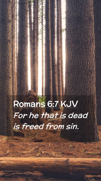 Picture 02 - Romans 6:7 KJV Mobile Phone Wallpaper - For he that is dead is freed from - Mobile Bible Verse Wallpaper