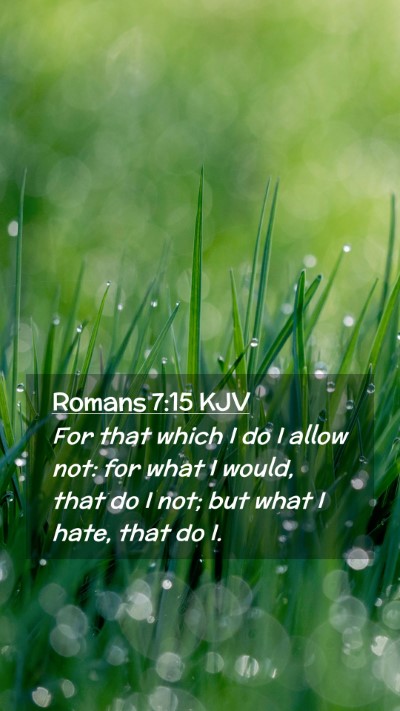 Picture 02 - Romans 7:15 KJV Mobile Phone Wallpaper - For that which I do I allow not: for what I - Mobile Bible Verse Wallpaper
