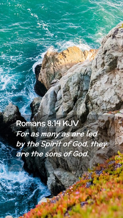 Picture 02 - Romans 8:14 KJV Mobile Phone Wallpaper - For as many as are led by the Spirit of God, they - Mobile Bible Verse Wallpaper