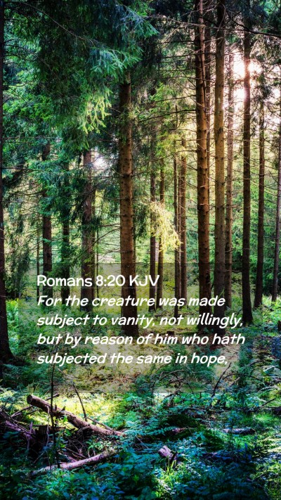 Picture 02 - Romans 8:20 KJV Mobile Phone Wallpaper - For the creature was made subject to vanity, not - Mobile Bible Verse Wallpaper