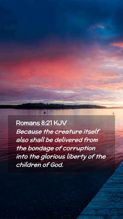 Picture 02 - Romans 8:21 KJV Mobile Phone Wallpaper - Because the creature itself also shall be - Mobile Bible Verse Wallpaper