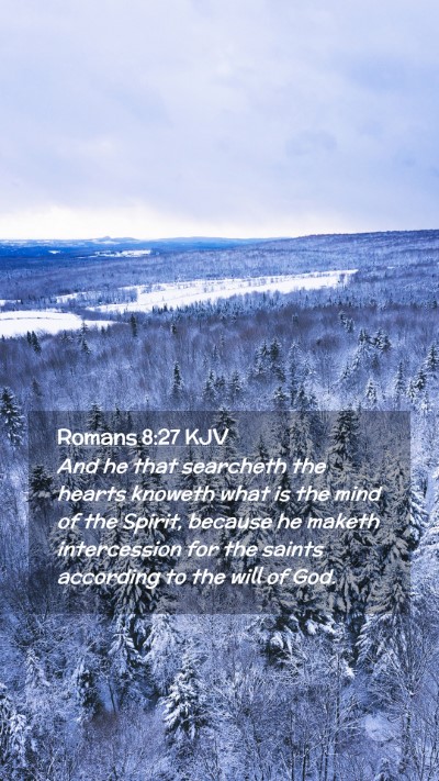 Picture 02 - Romans 8:27 KJV Mobile Phone Wallpaper - And he that searcheth the hearts knoweth what is - Mobile Bible Verse Wallpaper