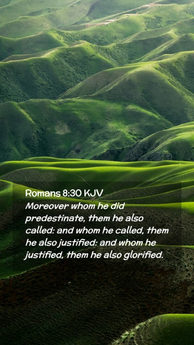 Picture 02 - Romans 8:30 KJV Mobile Phone Wallpaper - Moreover whom he did predestinate, them he also - Mobile Bible Verse Wallpaper