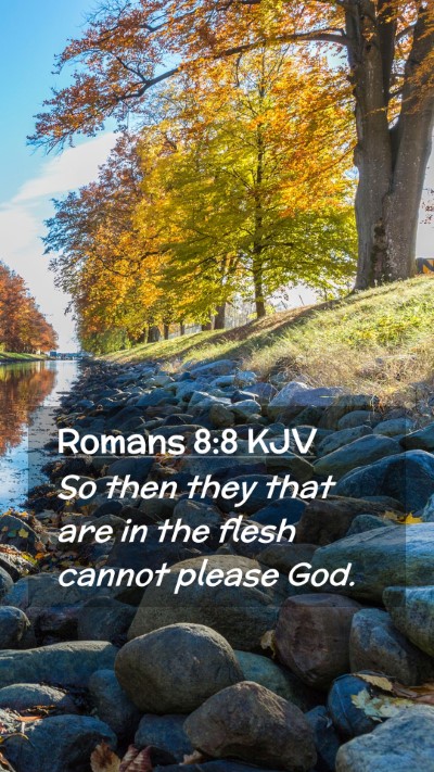 Picture 02 - Romans 8:8 KJV Mobile Phone Wallpaper - So then they that are in the flesh cannot please - Mobile Bible Verse Wallpaper