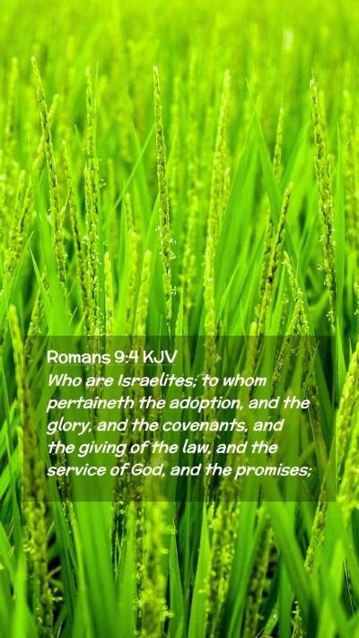 Picture 02 - Romans 9:4 KJV Mobile Phone Wallpaper - Who are Israelites; to whom pertaineth the - Mobile Bible Verse Wallpaper