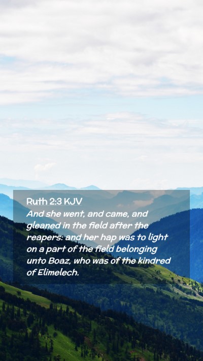 Picture 02 - Ruth 2:3 KJV Mobile Phone Wallpaper - And she went, and came, and gleaned in the field - Mobile Bible Verse Wallpaper