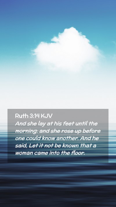 Picture 02 - Ruth 3:14 KJV Mobile Phone Wallpaper - And she lay at his feet until the morning: and - Mobile Bible Verse Wallpaper