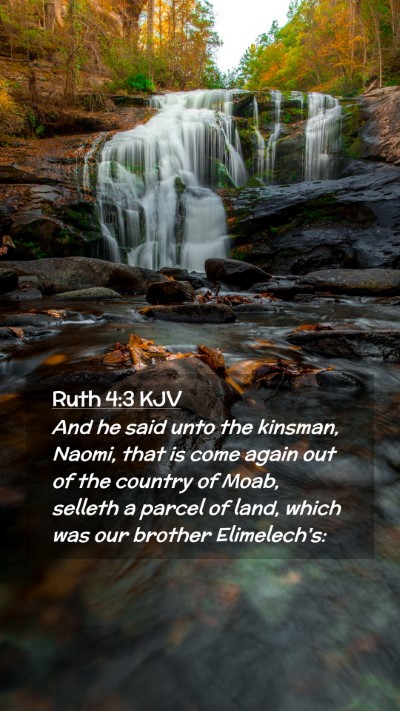 Picture 02 - Ruth 4:3 KJV Mobile Phone Wallpaper - And he said unto the kinsman, Naomi, that is come - Mobile Bible Verse Wallpaper