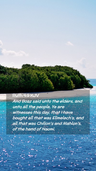Picture 02 - Ruth 4:9 KJV Mobile Phone Wallpaper - And Boaz said unto the elders, and unto all the - Mobile Bible Verse Wallpaper