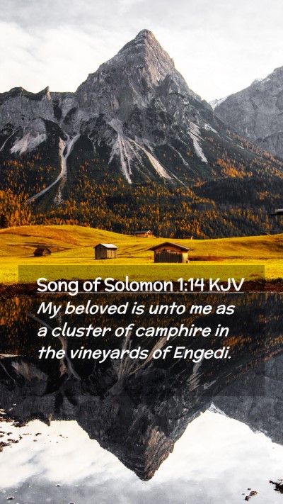 Picture 02 - Song of Solomon 1:14 KJV Mobile Phone Wallpaper - My beloved is unto me as a cluster of camphire in - Mobile Bible Verse Wallpaper