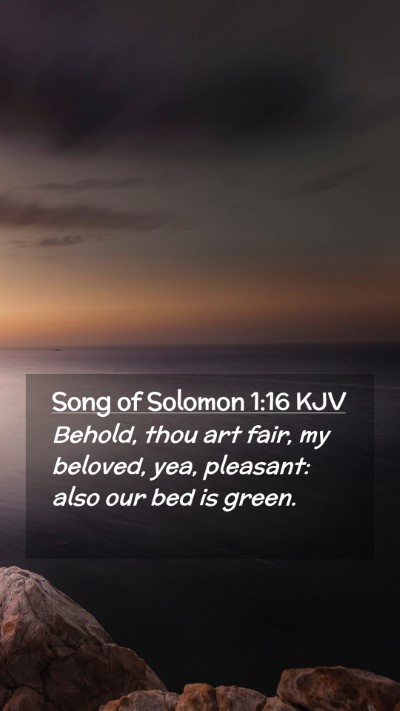 Picture 02 - Song of Solomon 1:16 KJV Mobile Phone Wallpaper - Behold, thou art fair, my beloved, yea, pleasant: - Mobile Bible Verse Wallpaper