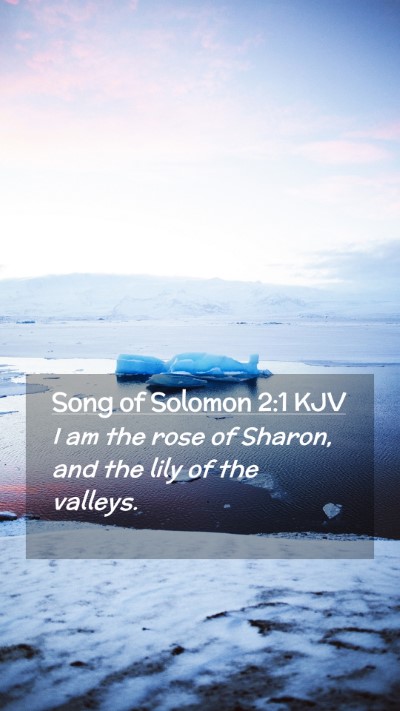 Picture 02 - Song of Solomon 2:1 KJV Mobile Phone Wallpaper - I am the rose of Sharon, and the lily of the - Mobile Bible Verse Wallpaper