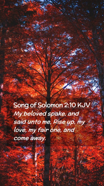 Picture 02 - Song of Solomon 2:10 KJV Mobile Phone Wallpaper - My beloved spake, and said unto me, Rise up, my - Mobile Bible Verse Wallpaper