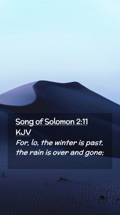 Picture 02 - Song of Solomon 2:11 KJV Mobile Phone Wallpaper - For, lo, the winter is past, the rain is over and - Mobile Bible Verse Wallpaper