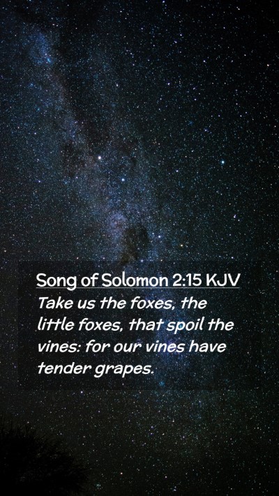Picture 02 - Song of Solomon 2:15 KJV Mobile Phone Wallpaper - Take us the foxes, the little foxes, that spoil - Mobile Bible Verse Wallpaper