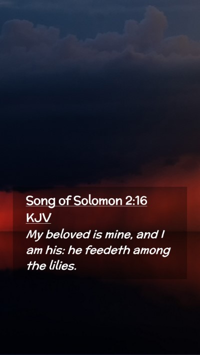 Picture 02 - Song of Solomon 2:16 KJV Mobile Phone Wallpaper - My beloved is mine, and I am his: he feedeth - Mobile Bible Verse Wallpaper