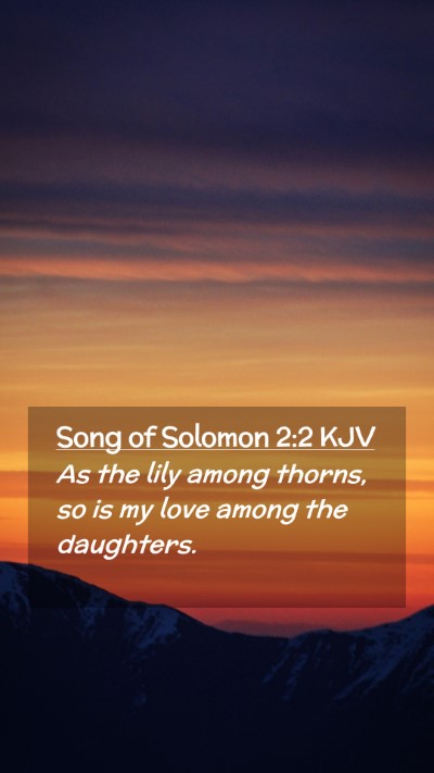 Picture 02 - Song of Solomon 2:2 KJV Mobile Phone Wallpaper - As the lily among thorns, so is my love among the - Mobile Bible Verse Wallpaper