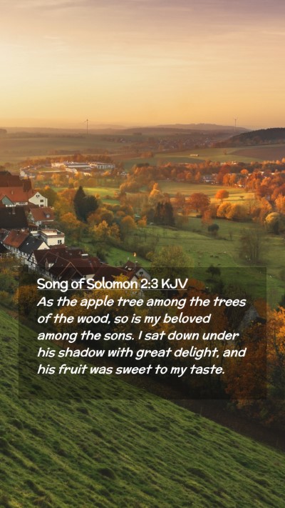 Picture 02 - Song of Solomon 2:3 KJV Mobile Phone Wallpaper - As the apple tree among the trees of the wood, so - Mobile Bible Verse Wallpaper