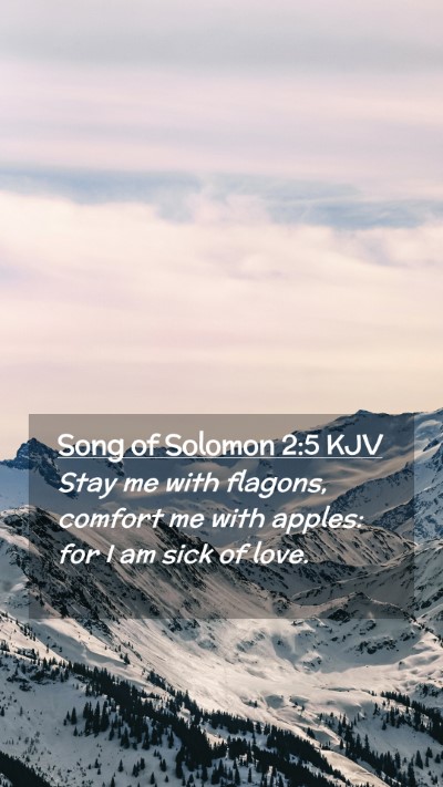 Picture 02 - Song of Solomon 2:5 KJV Mobile Phone Wallpaper - Stay me with flagons, comfort me with apples: for - Mobile Bible Verse Wallpaper