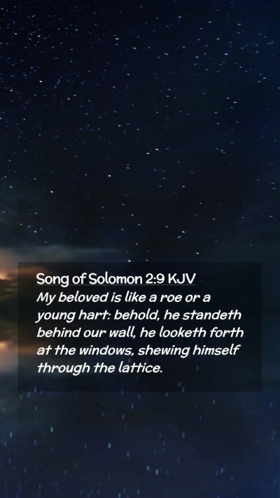 Picture 02 - Song of Solomon 2:9 KJV Mobile Phone Wallpaper - My beloved is like a roe or a young hart: behold, - Mobile Bible Verse Wallpaper